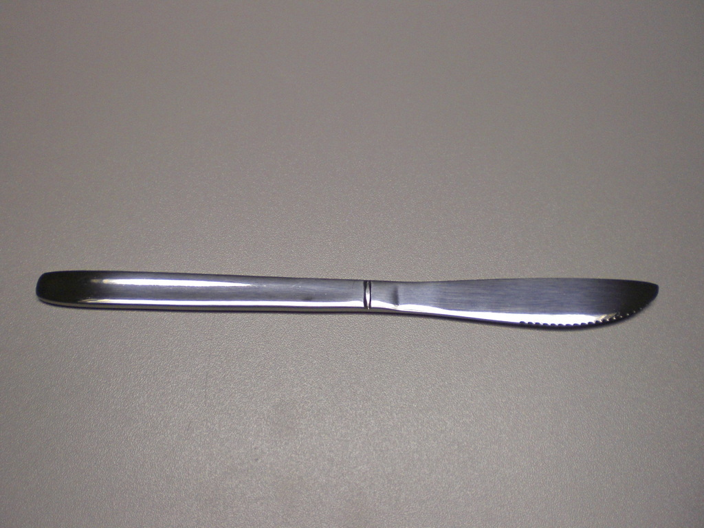 Nůž jídelní PRAKTIK 